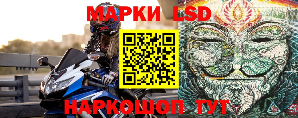 купить наркотик  Наркотические марки 1500мкг  Вход с VPN  Каменка 