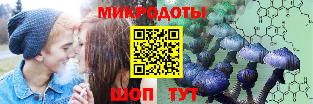 Галлюциногенные грибы прущие грибы  Вход с VPN  Каменка 