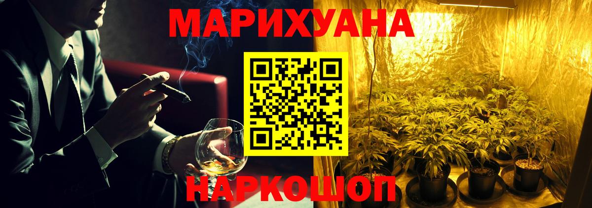 Каннабис OG Kush Каменка